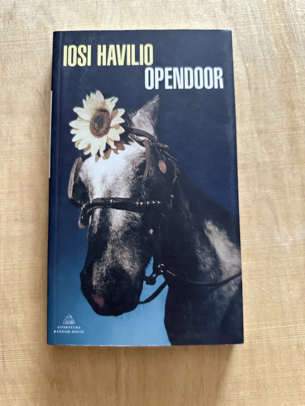 Opendoor - Havilio, Iosi (Y5)