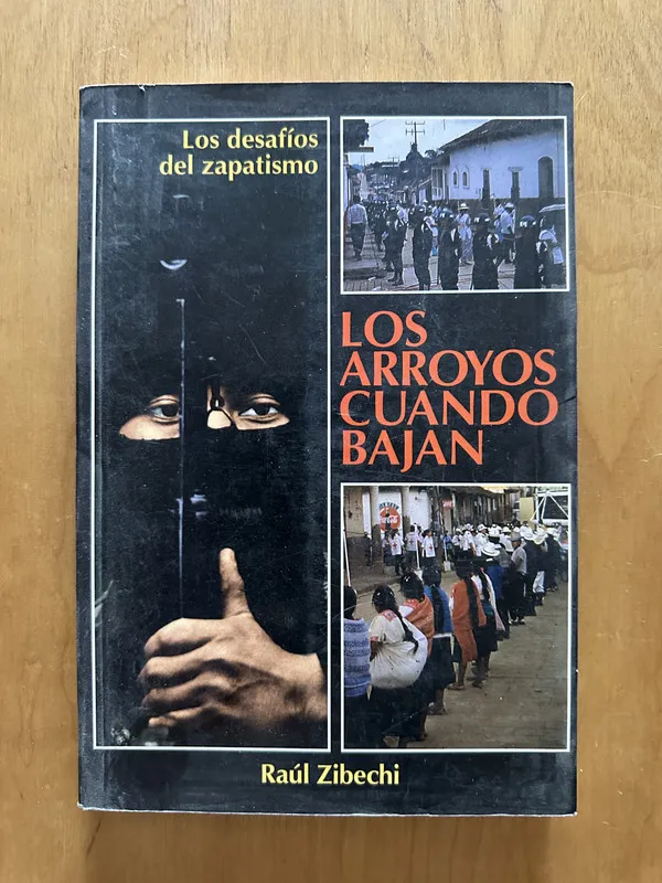 Los arroyos cuando bajan - Zibechi, Raul (2d2)