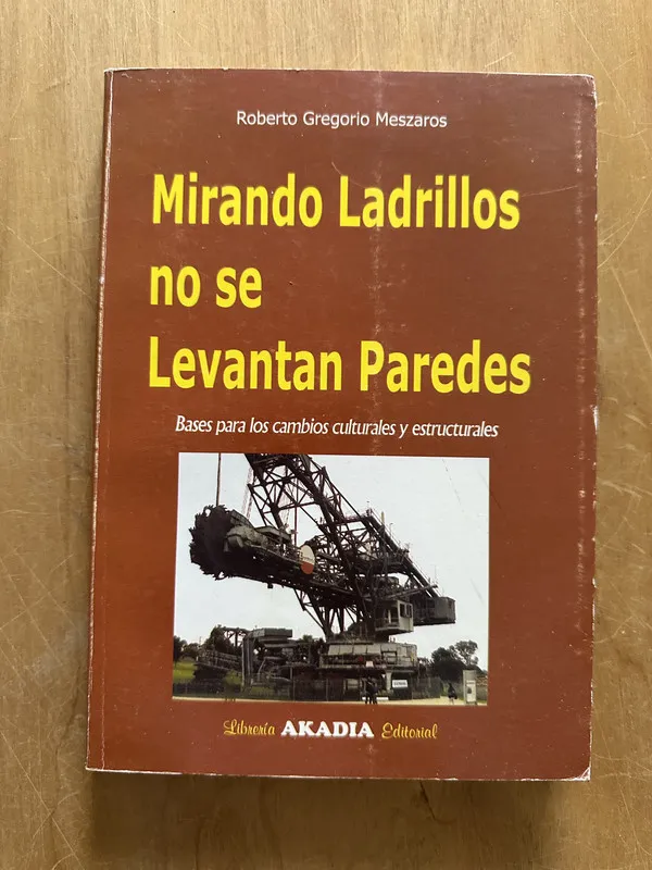 Mirando Ladrillos no se Levantan paredes - Meszaros (2L6)