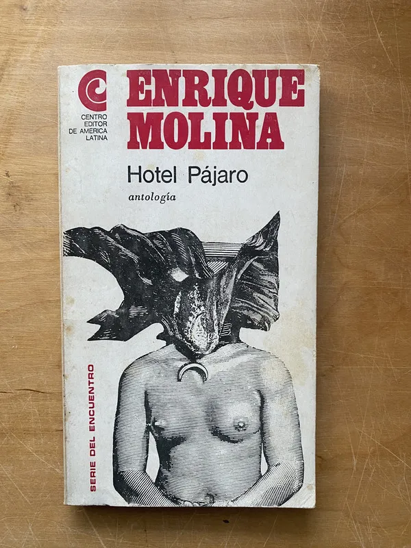 Hotel pajaro - Molina, Enrique (i2)