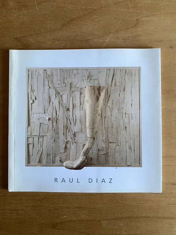 - Raul Diaz (2v2)