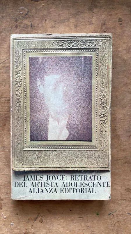 Retrato Del Artista Adolescente - Joyce, James (ee3)