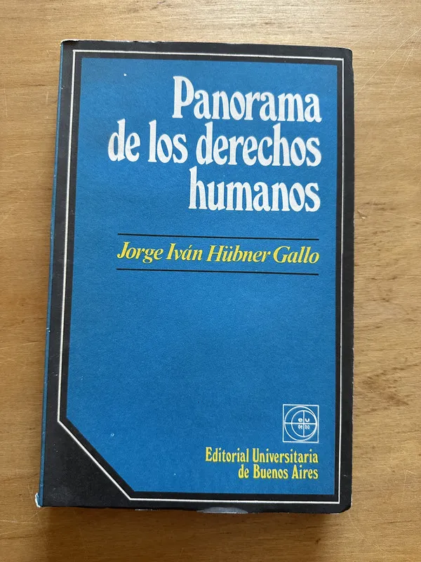 Panorama de los derechos humanos - Hubner Gallo, J. (2t4)