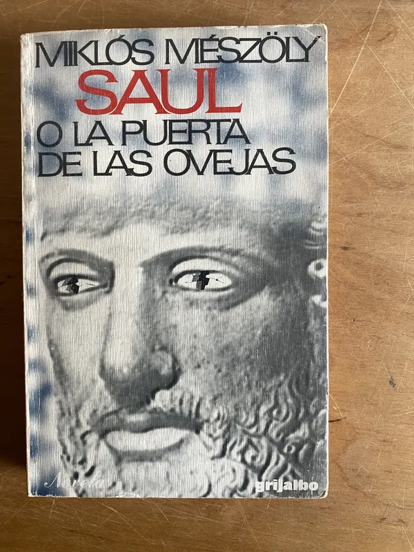 Tapa de Saul o la puerta de las ovejas - Meszoly, Miklos (2y7)