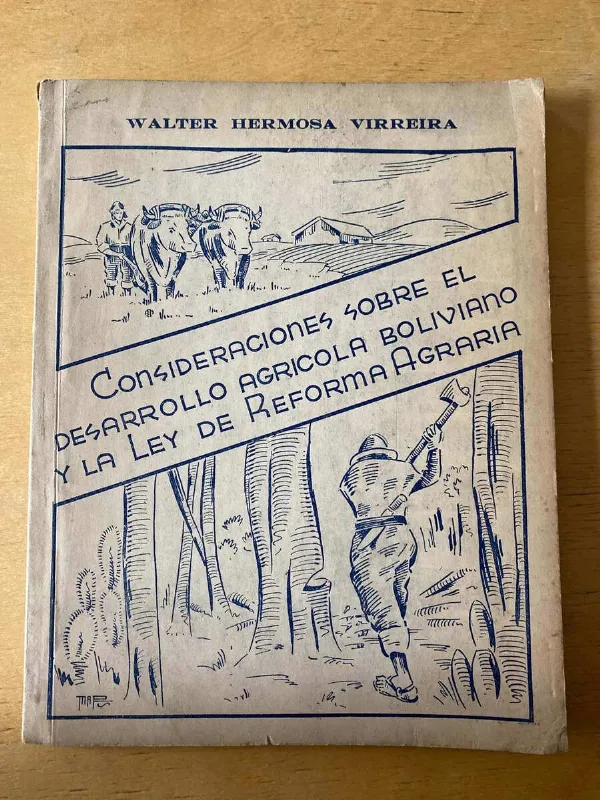 Tapa de Consideraciones Sobre El Desarrollo - Hermosa Virreira (c3)