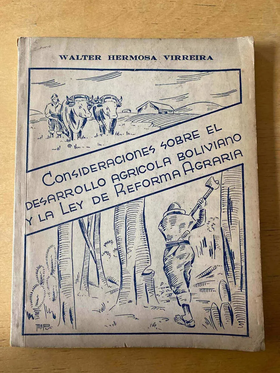 Consideraciones Sobre El Desarrollo - Hermosa Virreira (c3)