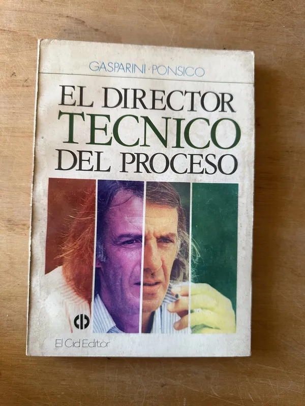 El director tecnico del proceso - Gasparini Ponsico (3i3)