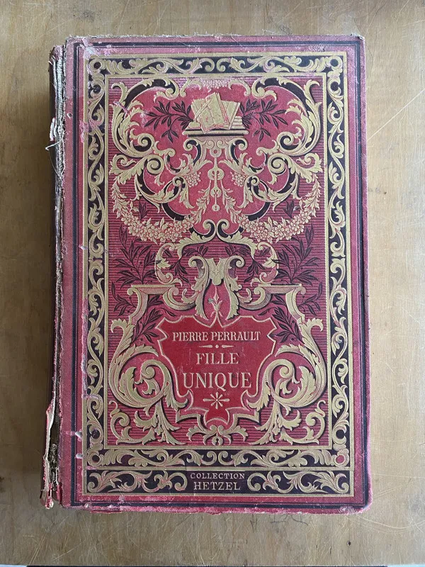 Fille Unique - Perrault, Pierre (c0)