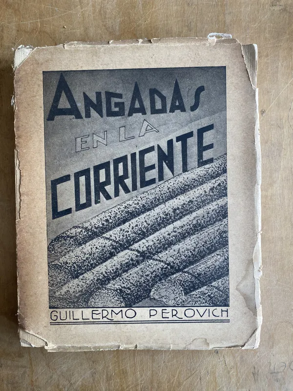 Angadas en la corriente - Perovich, Guillermo (l 6)