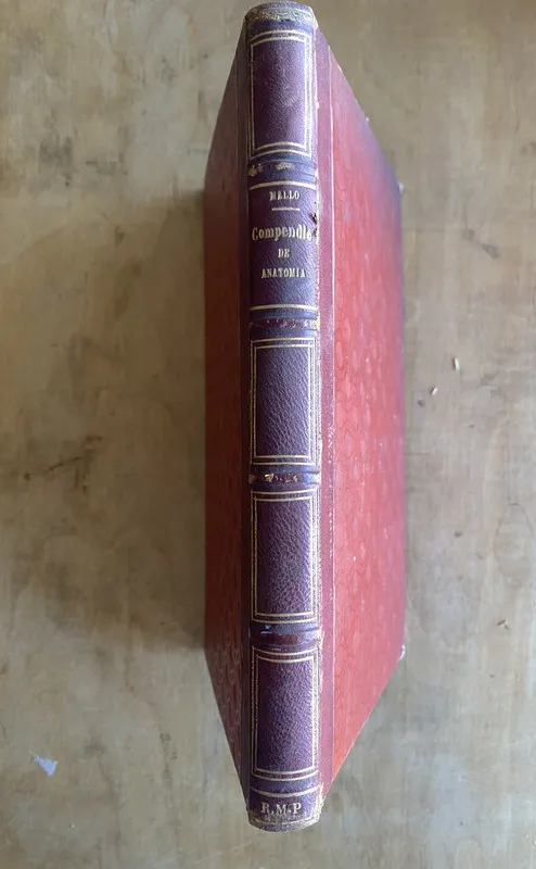 Compendio de anatomia para curso de medicina- Mallo (n6)