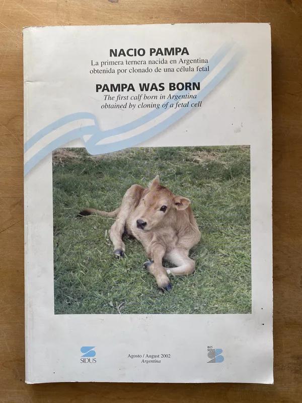 Nacio Pampa. ternera clonado de una celula fetal (m7)