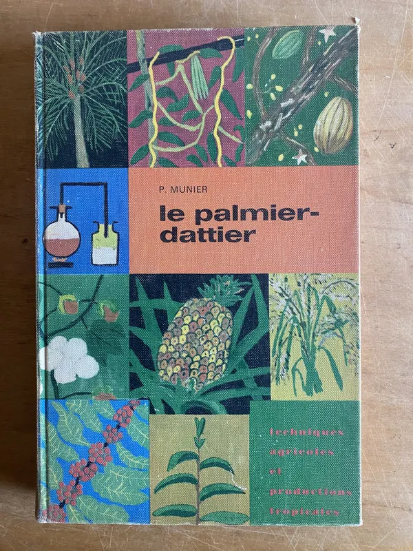 Le palmier dattier - Munier, P (3j4)