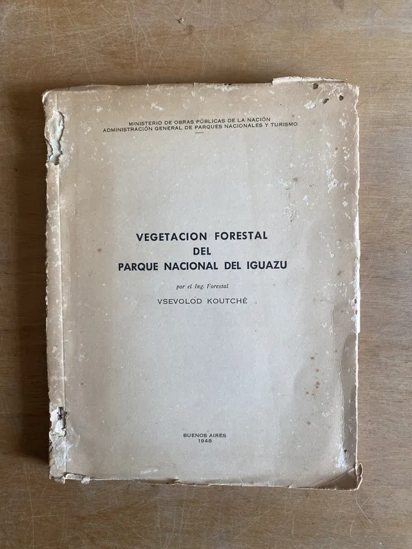 Vegetacion forestal del parque nacional iguazu- Koutche(3j0