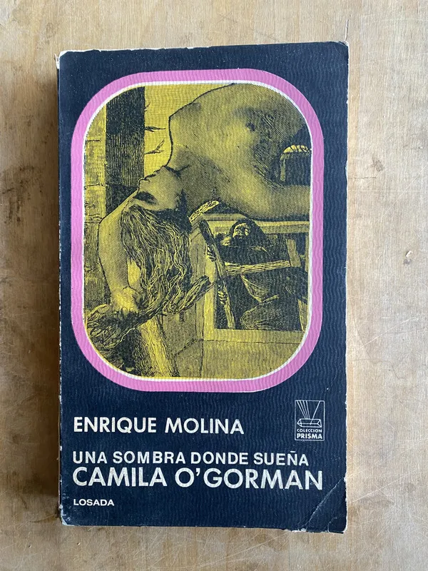 Una sombra donde sueña Camila O'gorman - Molina (ii2)
