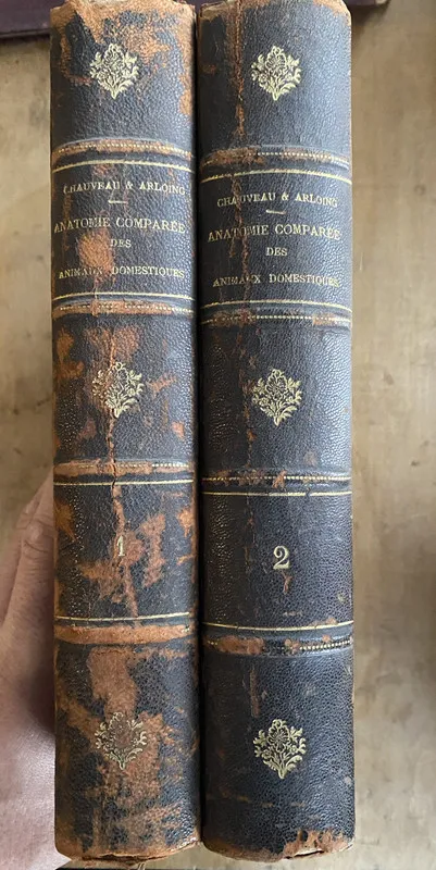 Tapa de Traite d'anatomie comparee - Chauveau; Arloing (d1)