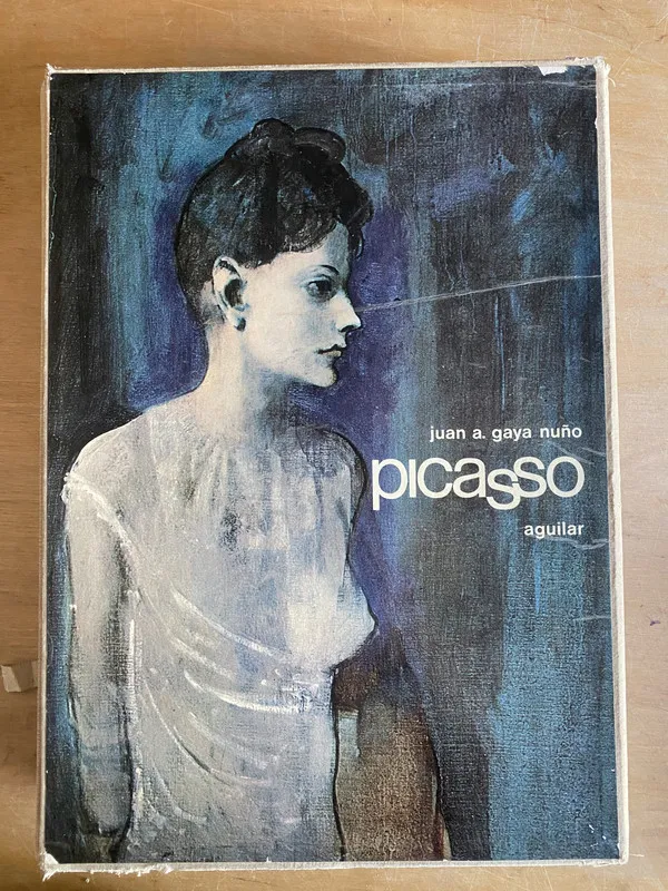 Picasso - Gaya Nuño Juan (2p0)
