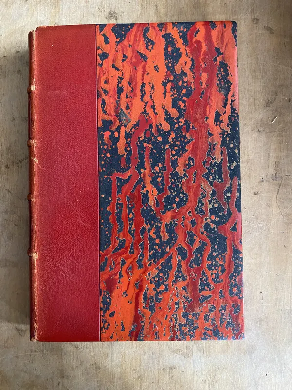 Le continent austral - Rainaud Armand (zz2)