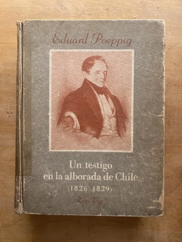 Un testigo en la alborada de Chile- Poeppig (LL5)