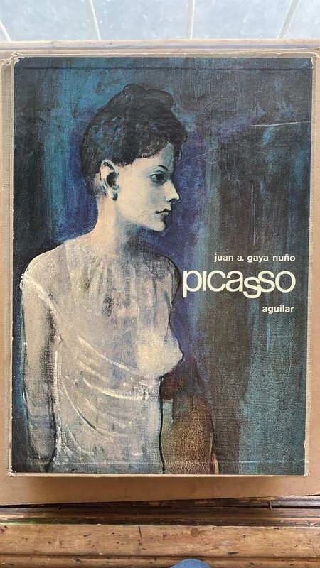 Picasso - Gaya Nuño, Juan (n3)