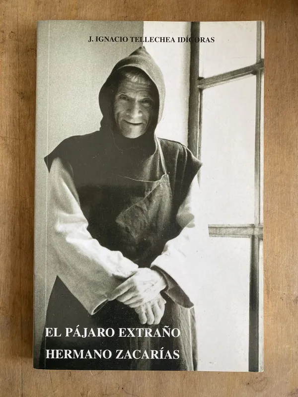 el pajaro extraño hermano – Tellechea Idigoras (ii1)