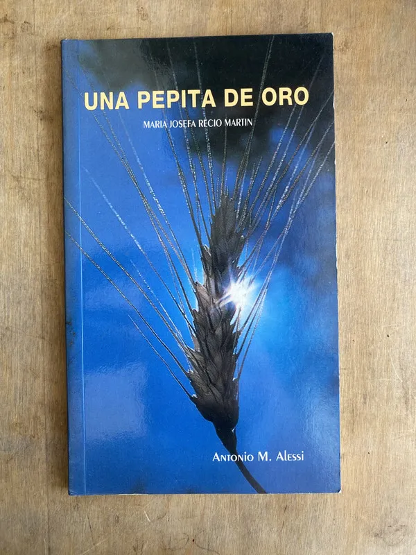 Una pepita de oro – Recio Martin (L4)