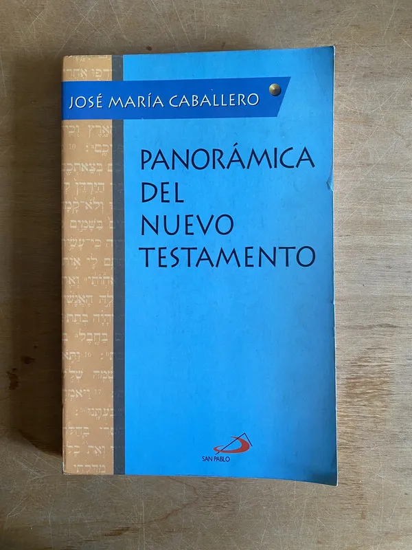 Panoramica del nuevo testamento - Caballero (2j4)