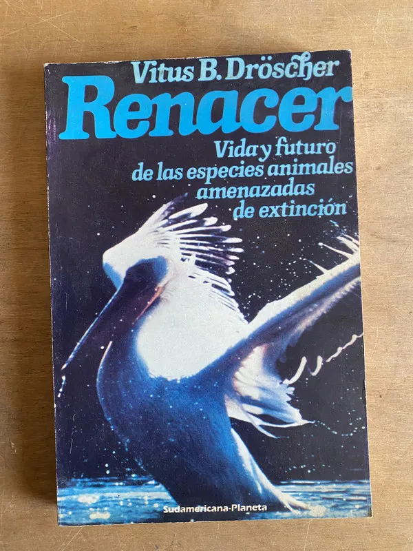 Renacer - Droscher (2d4)