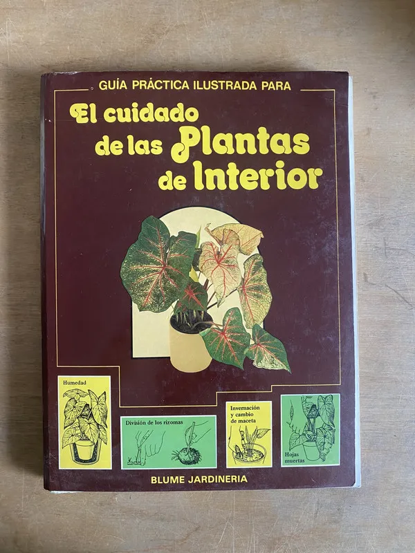 Tapa de Guia practica ilustrada plantas de interior - Longman (2n0)