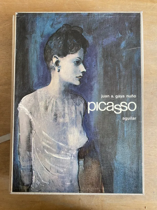 Picasso - Gaya Nuño, Juan A. (2h0)