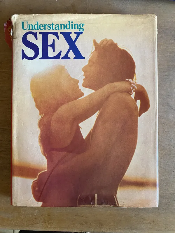 Tapa de Understanding sex - (2b0)