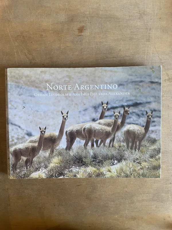 Norte argentino - Lindholm (2a6)