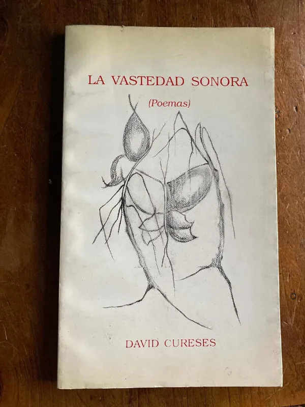Tapa de La Vastedad Sonora (poemas) - Cureses, David (W3)