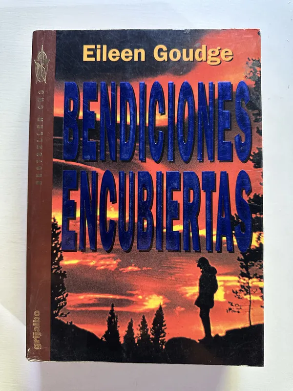 Bendiciones encubiertas - Goudge Eileen (4H3)
