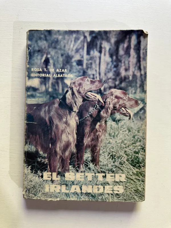 El setter irlandes - Azar Rosa T. de (4H2)