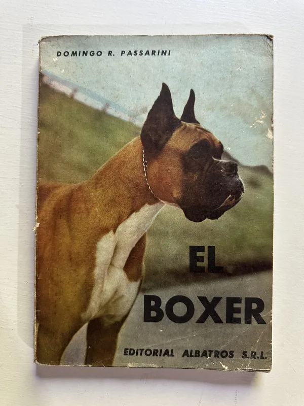 El boxer - Passarini Domingo R. (4H2)