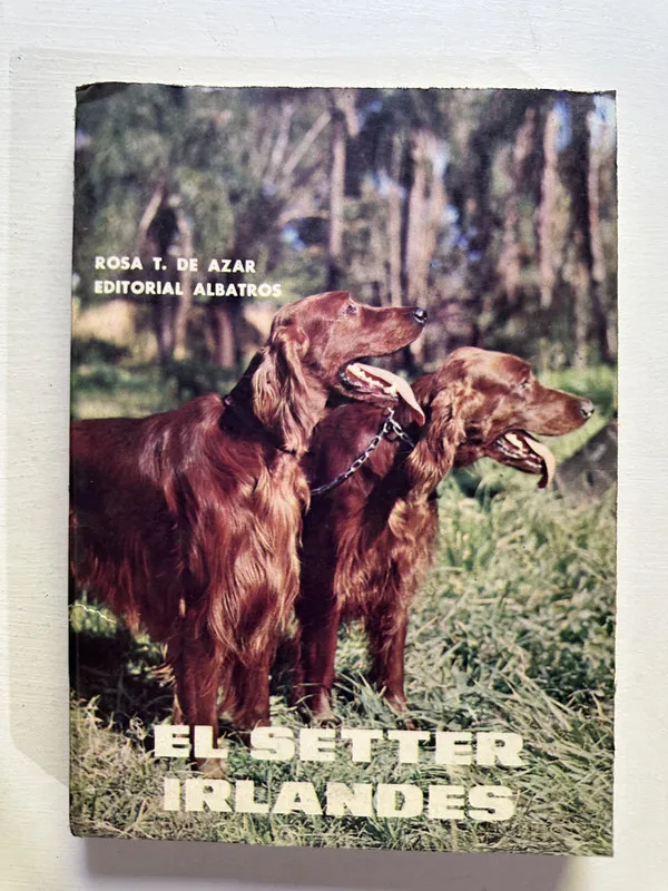 El setter irlandes - Azar Rosa T. de (4H2)