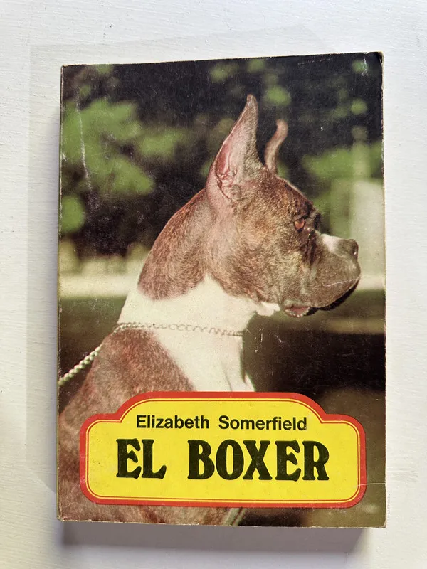 El boxer - Somerfield Elizabeth (4H2)