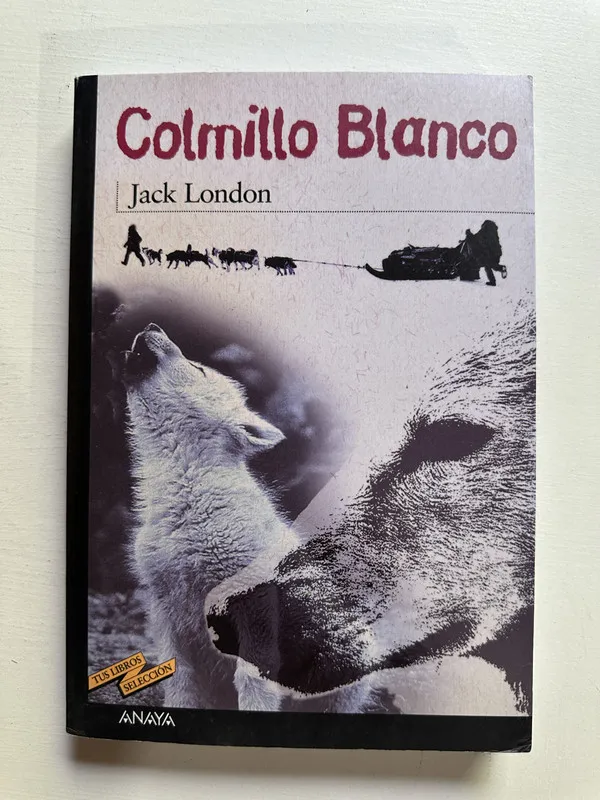 Colmillo blanco - London Jack (4H7)