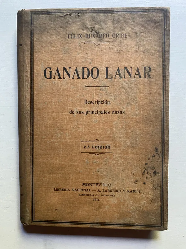 Ganado lanar - Buxareo Oribe, Félix (4d7)