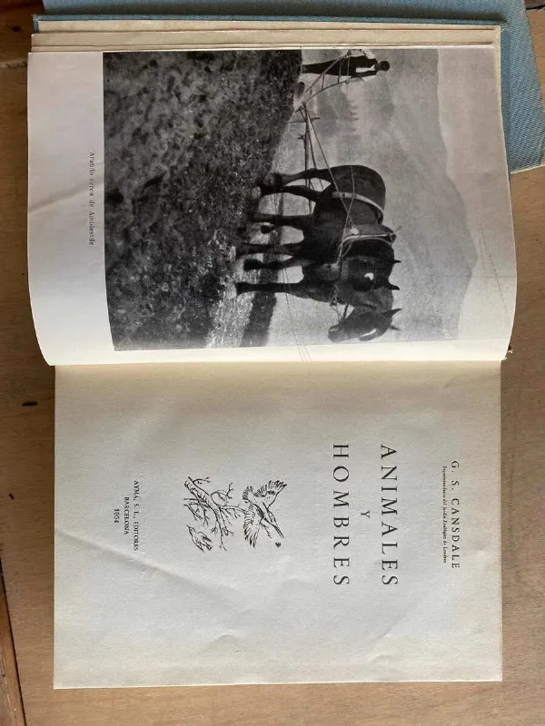 Animales Y Hombres - Cansdale, G.s. (a5)