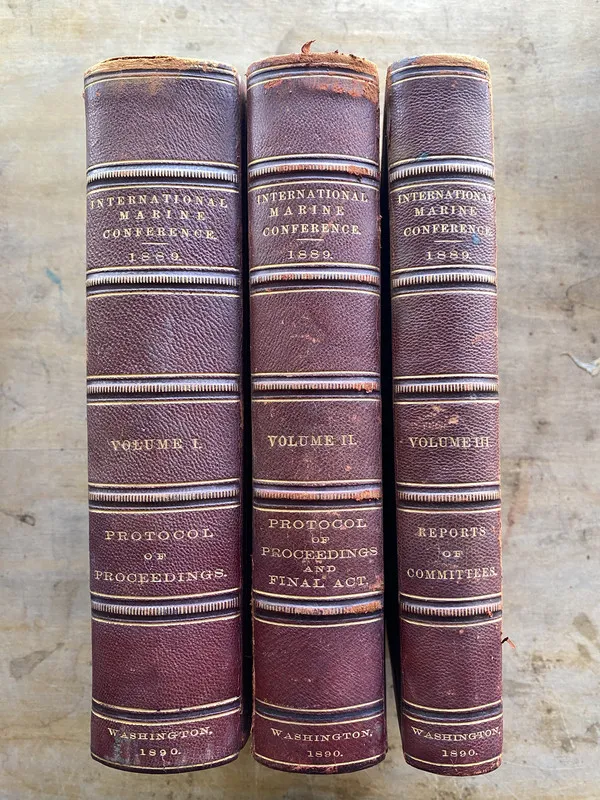 International - Protocols of proceedings of the Internation