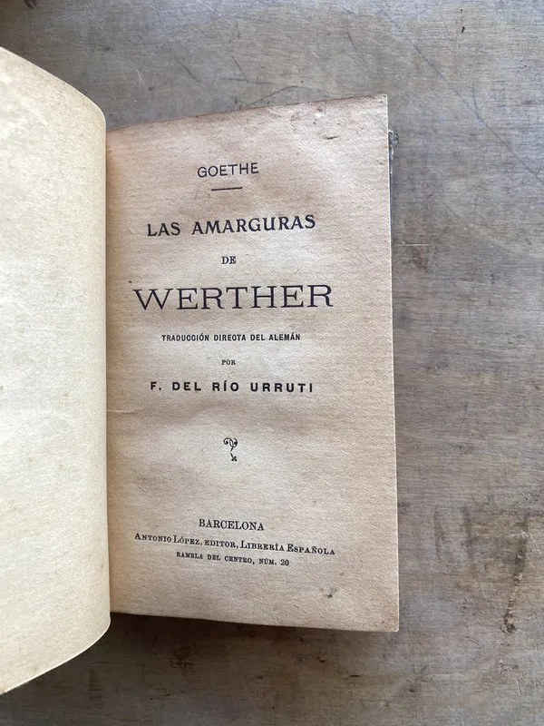 Las amarguras de Werther - Goethe (pp2)