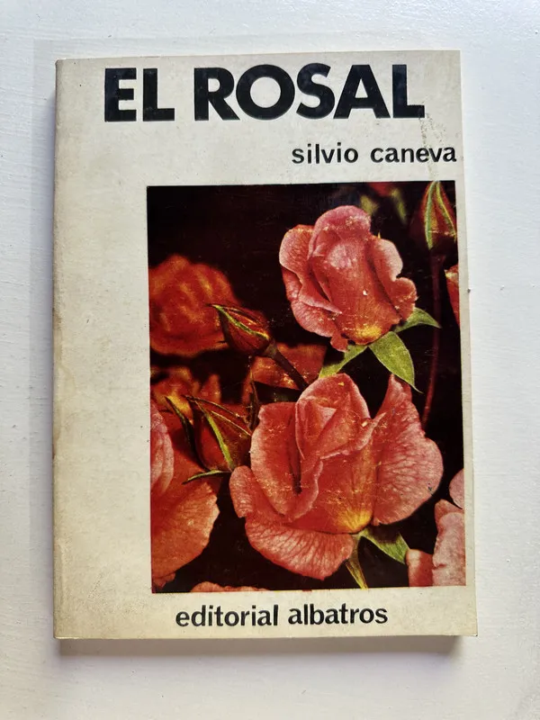 El rosal - Caneva Silvio (4i7)