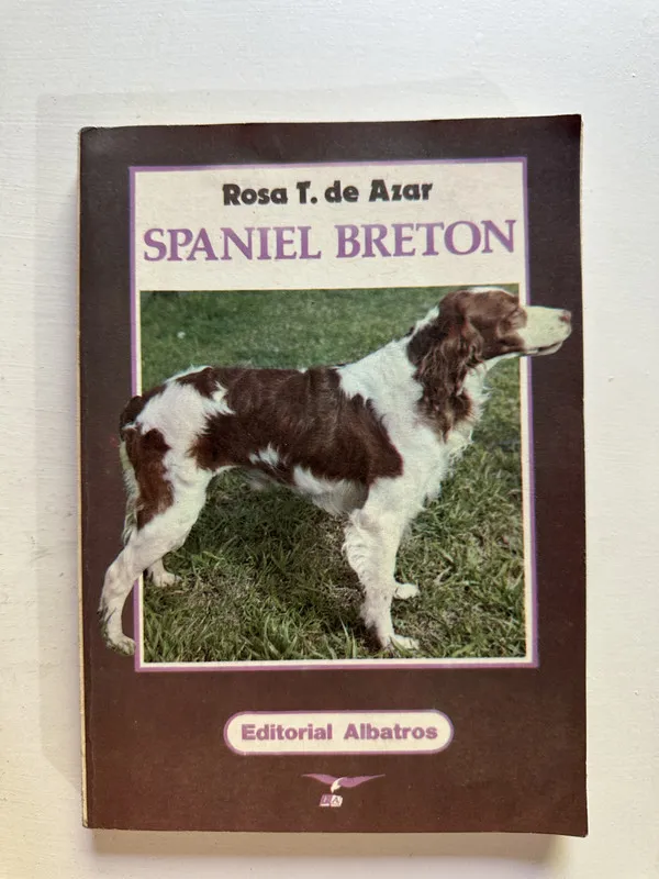 Spaniel Breton - de Azar Rosa T. (4i7)