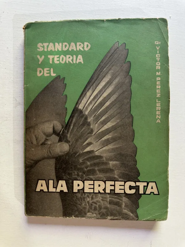 Standard y teoria del ala perfecta - (4i7)