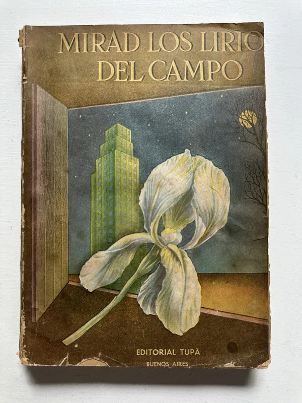 Mirad los lirios del campo - — (4N4)