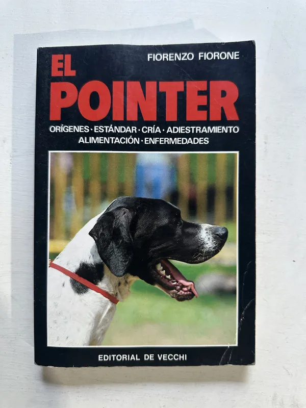 El pointer - Fiorone Fiorenzo (4o3)