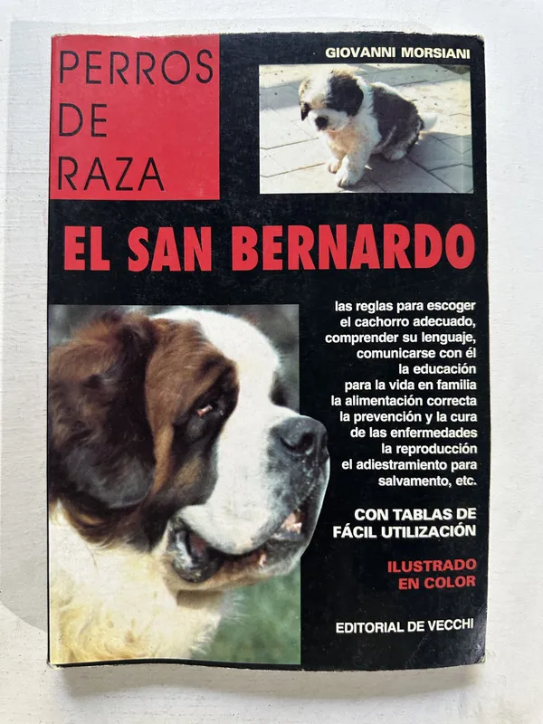 El San Bernardo - Morsiani Giovanni (4o4)