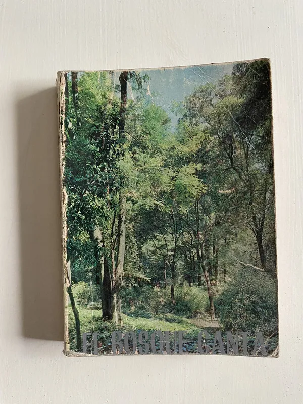 El Bosque Canta - Maria Giudice (4o1)