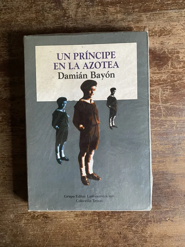Tapa de Un principe en la azotea - Bayon Damian (4p7)